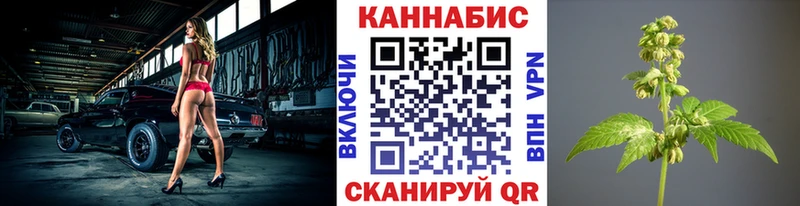 Купить закладки  Глазов  Бошки марихуана Ganja 